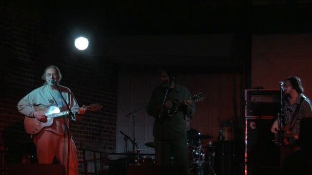 David Gans & Friends - Sultans Of Swing