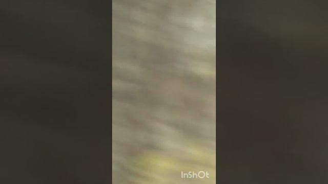 Куликово поле 3 часть