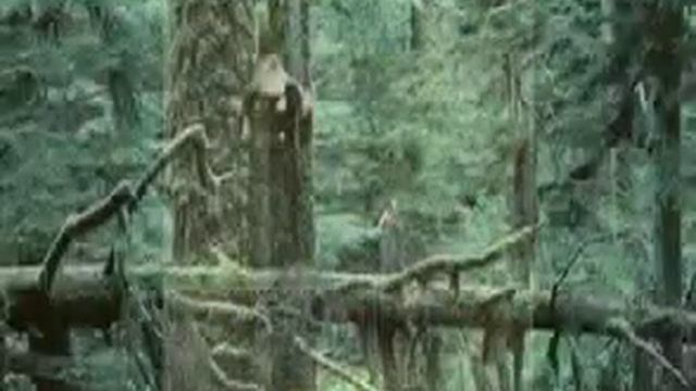 TRAKL AVEC TRADUCTION