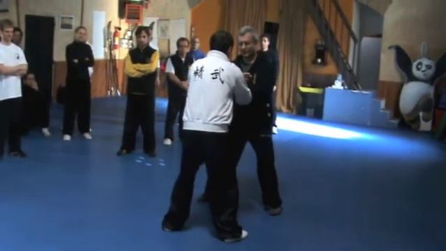 Tuishou 2011