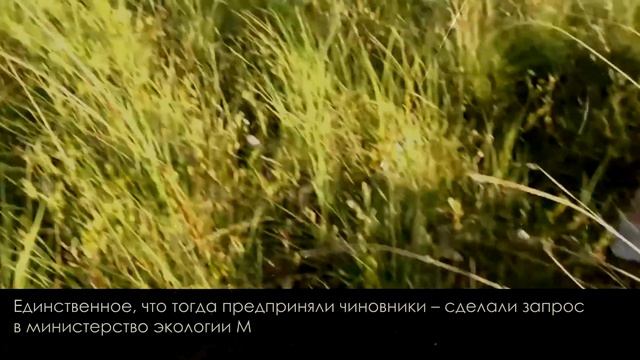 Из диск-жокея в чиновники