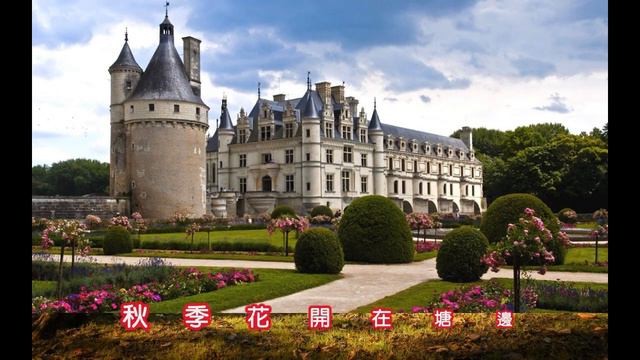 龔秋霞 ~ 四季花開