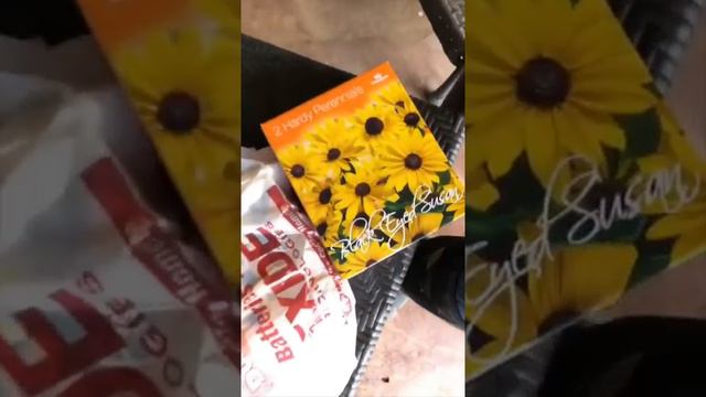 Gwen Stefani With Blake Shelton And Her Family For Easter !