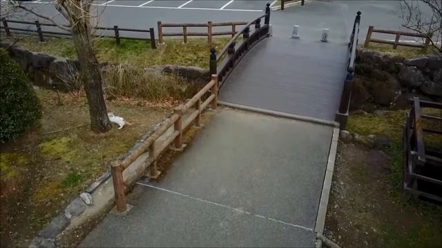 「みゃーのおさんぽ」小町の館 × ドローン