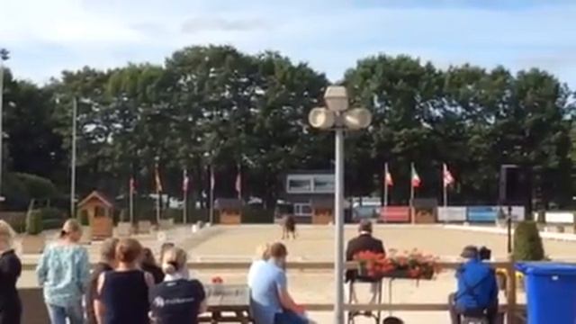 220897f28422509a9aff0e07c8f338a1