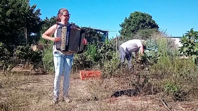 Marlene Mateus - Oiça Lá, ó Senhor Vinho!