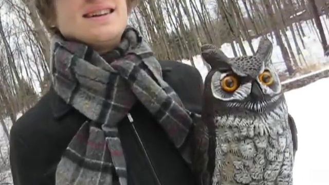 Cabinet Of Natural Curiosities - 