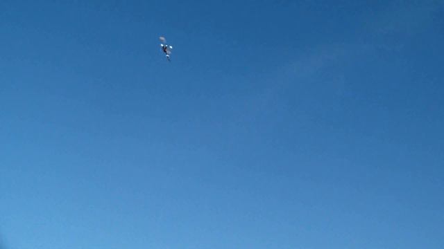 RC Helicopter Horizon Blade 450 3D Flight RCHeliJet Wild Flying Area Zurich