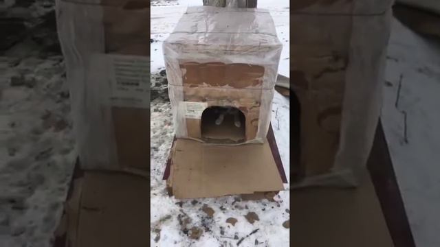 Жаьлешел хуже Фарид Пола Линн Владимир Клаус Дмитрий Рамзан Адам Къел 137 Кровь Ц1и Ц1ий Си Сий Сий