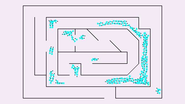 Boids In A Maze