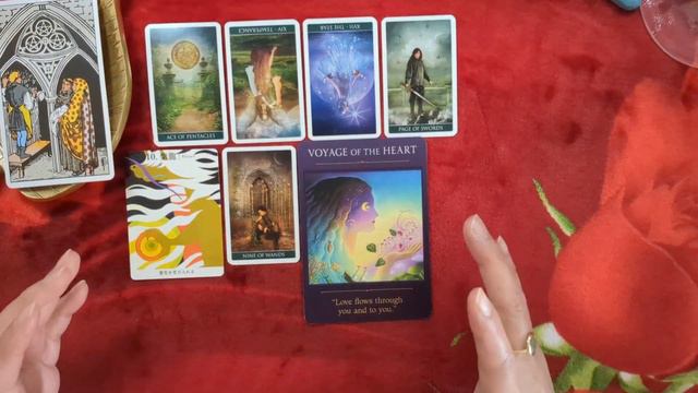 Cfb59e1ca7bf96f3efefc55064231762