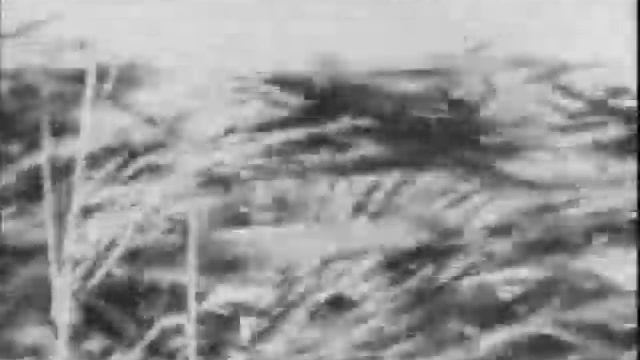 Fred Frith - The As Usual Dance Towards The Other Flight To What Is Not