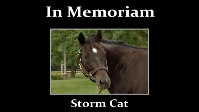 2013 Year In Review: In Memoriam