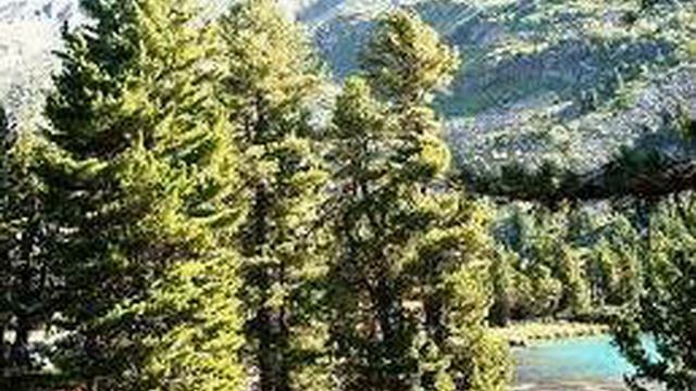 734aec649e89c2f8cd8e2750eb729f95