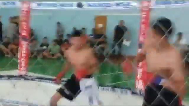 Жекпе-Жек (ММА) супер удар ногой