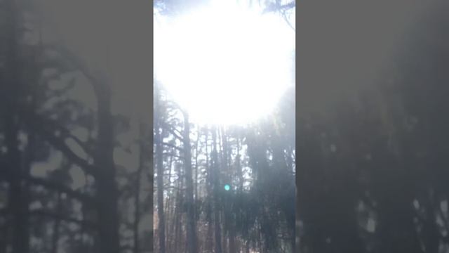 (( Sugar )) ( Ray ) ( Robinson )