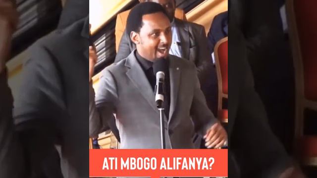 Mbogo Alifanya Nini