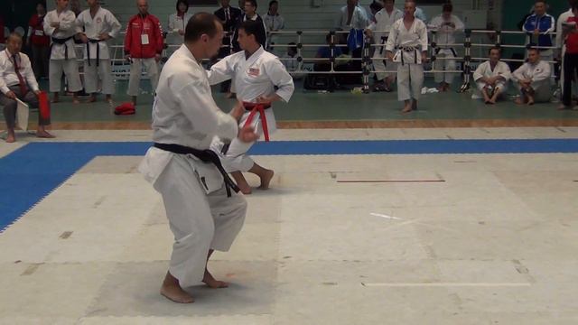 2014 World Championship JKA - Kata Seniors Richard Ruzicka (CZE) Vs (USA)