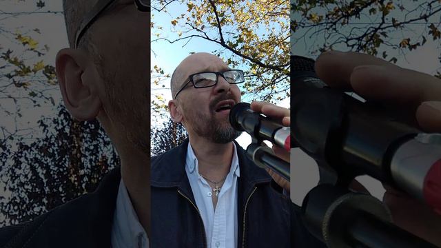 11 декабря 2023 г.(2)