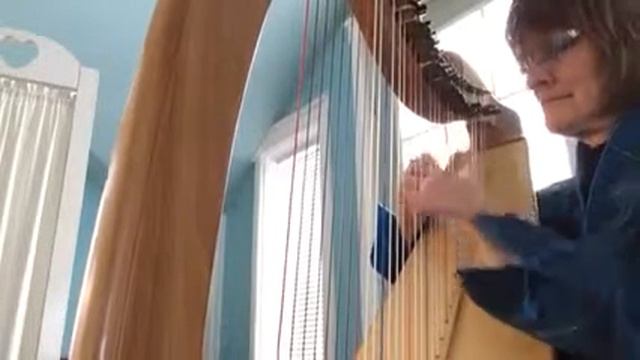 Casey's Hornpipe On The Celtic Harp.,
