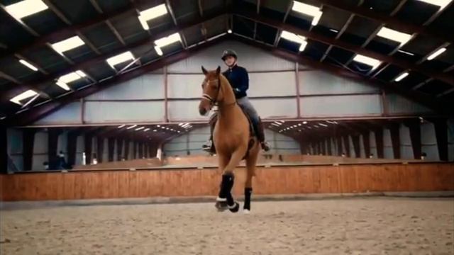 Cheval Dressage