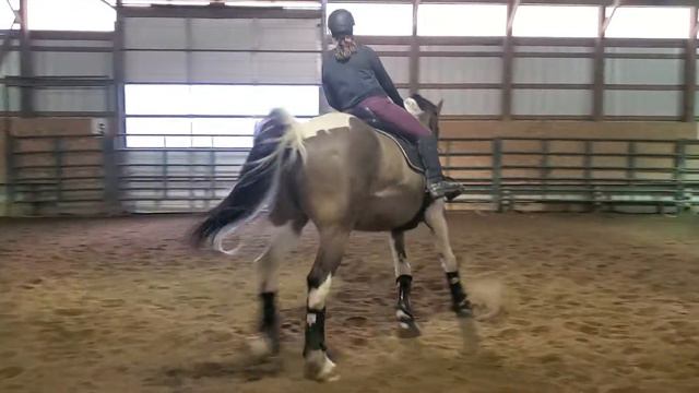 Kodak Schooling 4th Level 3  2/22/21