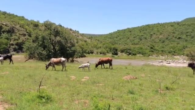 Cd94d30760d31688f7ffe221150ac109