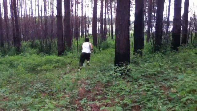 Dema(3)fm Light Jogging In The Woods.mp4