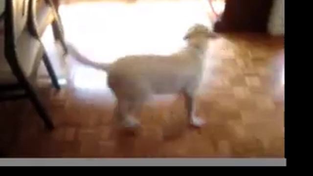 Ramón Abre La Puerta