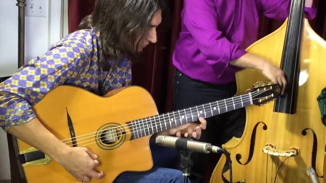 Hedgehog Swing Performs 