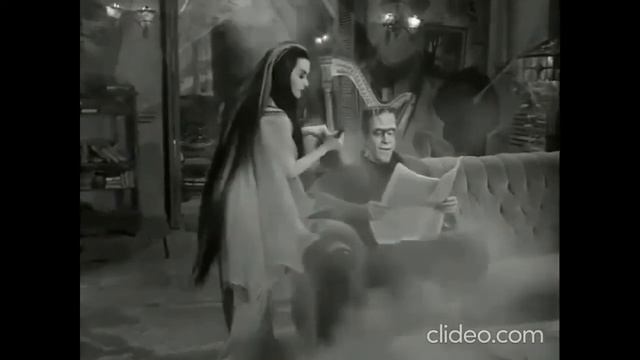 Elvira, Morticia Addams, Lily Munster And Vampira.