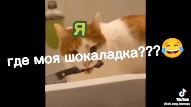 4 сентября 2022 г.