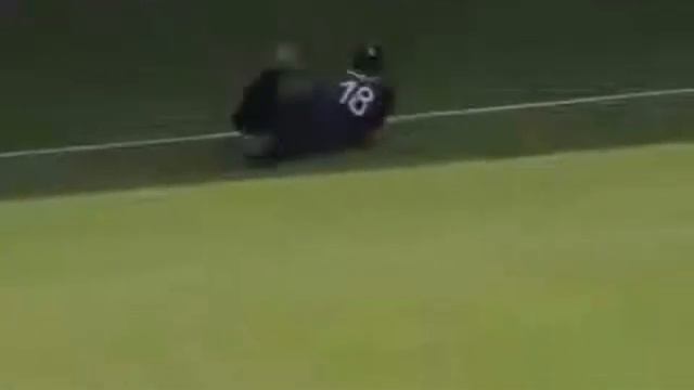 Top 10 Best Boundary Line Catches In Cricket History   TinyJuke Com