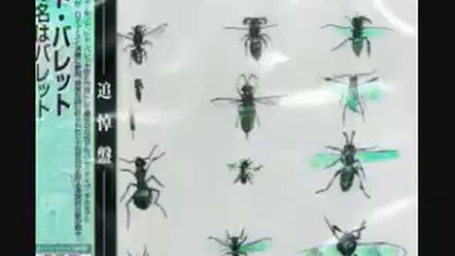 45b4c54357faee5902dc7ad923800344