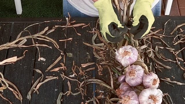 A1e02a62364d2d175723dfbe597ace63