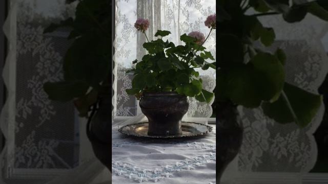 Måndagen Den 30/5-16 Kaffesumpen Säger, Säg Tack