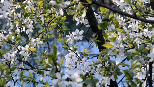 Fe6f36b3056f9e334742e800cf1b0e42