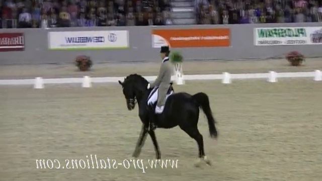 WORLD CUP FINAL - Totilas And Edward Gal