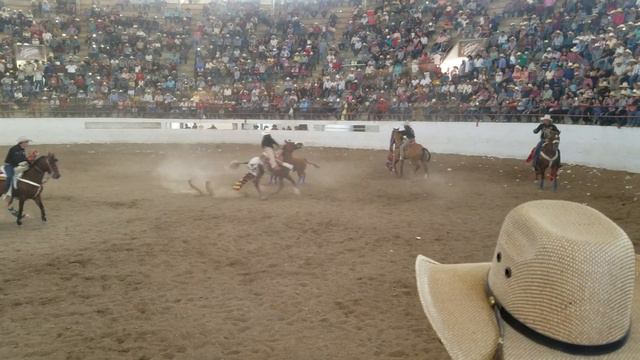 700f231740a9fd932e76665eab94b813