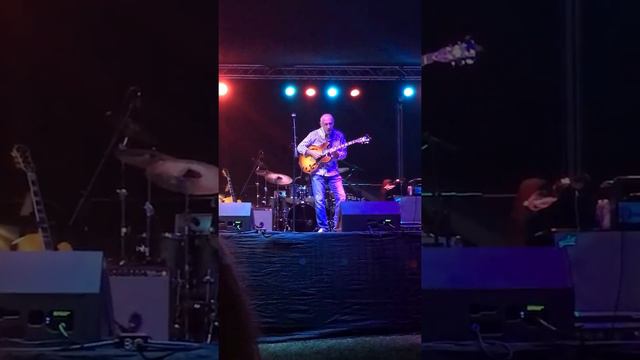 Larry Carlton- Smiles And Smiles To Go