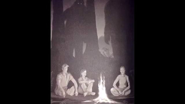 522c784ab439418f172dbbdfb3dee7d3