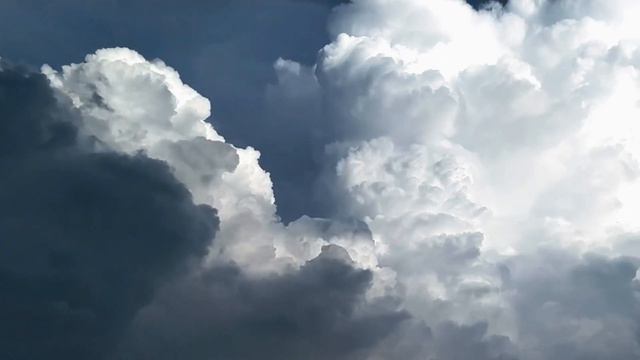 Jane Krakowski. I Will Always Think Of You. (Bojack Horseman)