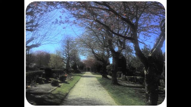 G M C F Dall Abaco Caprice No 4 For Bassoon Solo