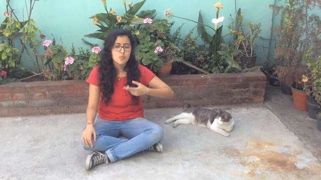 Berenice Adv 3 6-8 Pm