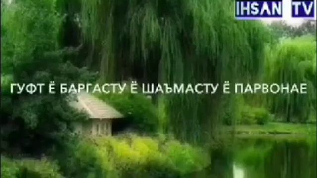 Бехтарин нашид Холи дунёро