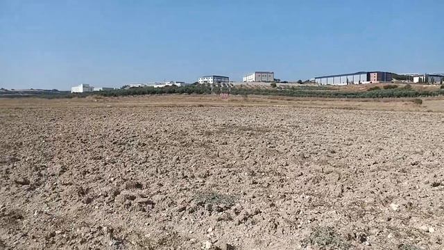 İZMİR MENDERES TEKELİ KÖYÜNDE SATILIK ARAZİLER
