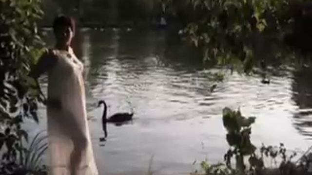 ♥♫ Medley -  ERNESTO CORTAZAR♥♫(relaxing , Romantic Piano Music)