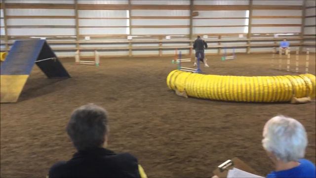 Ralph & Jigsaw & Waldo-Ralph, CPE Agility TURNER,OR  OCT.2015