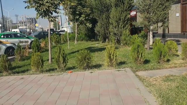 ИНТИХОБИ МАРДАК😡/ПЛИТА ХАРИДЕМ🇹🇯11.10.2023