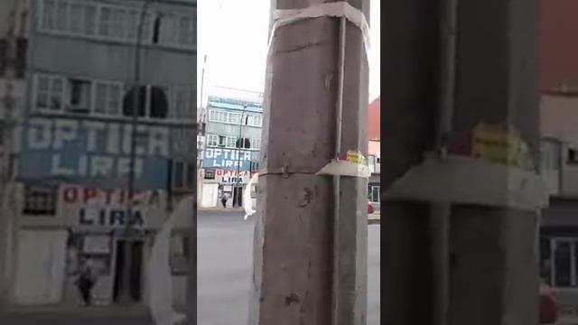 Mariana De Lachica: Candidata Infractora Y Su Basura Electoral